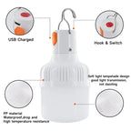 Portable USB Rechargeable LED Bulb – High Brightness Emergency Light