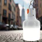 Portable USB Rechargeable LED Bulb – High Brightness Emergency Light